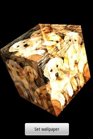 3D cute dog 36