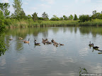 Birdwatching in Colonel Samuel Smith Park, Toronto, Ontario