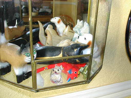 Cats