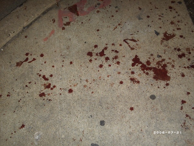 [PHOT00832.jpg]