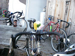 IMGP3852.JPG