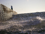 IMGP4743.JPG