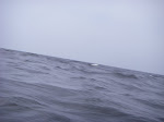 IMGP4937.JPG