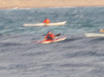 IMGP4949.JPG