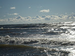 DSC01296.JPG