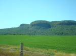 DSC01494.JPG