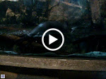 MOV01573.MPG
