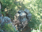DSC01607.JPG