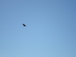 DSC01622.JPG