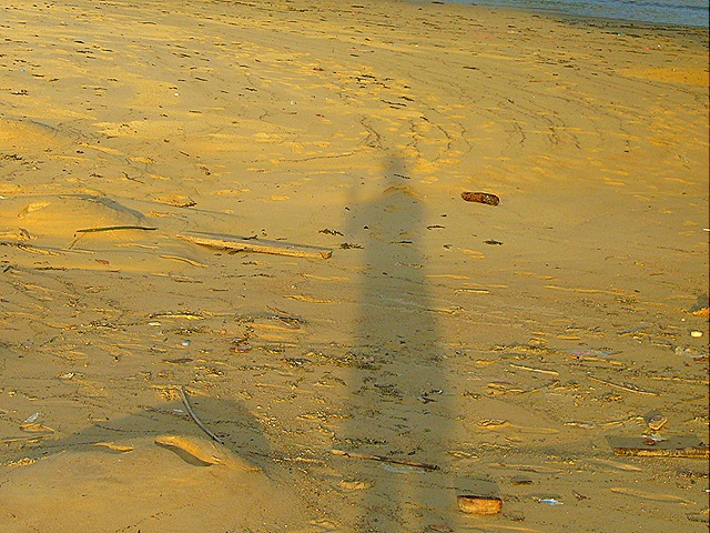 [My SHADOW[5].jpg]