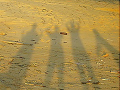 4 ppl SHADOW