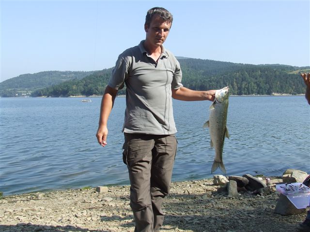 http://lh3.ggpht.com/kolozablocie/SMeRanel1vI/AAAAAAAAAfA/JsccmOSioXU/s800/DSCF5682.JPG