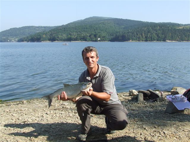 http://lh3.ggpht.com/kolozablocie/SMeRbOH3ieI/AAAAAAAAAfI/p0Mkq3ZYtzI/s800/DSCF5683.JPG