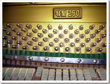 20081002 Ate J's new piano strings and hammers