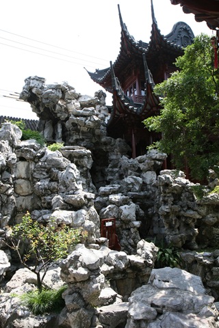 [IMG_48443.jpg]