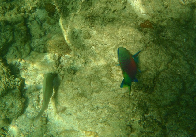 [P70700213.jpg]