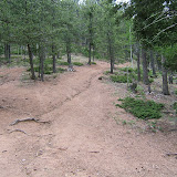 Gray Back Trail