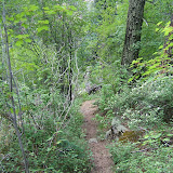 Gog Magog Trail