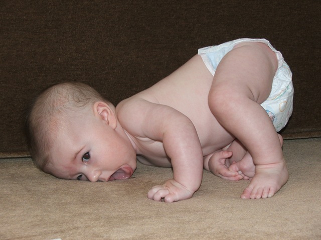 [ABP 4.5 Months 068[3].jpg]