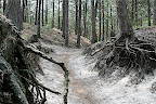 Petite montée dans le sable sur le parcours VTT