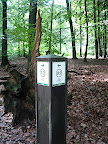 Veluwe Apeldoorn