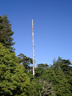 Tallest totem pole in the world in Victoria, British Columbia