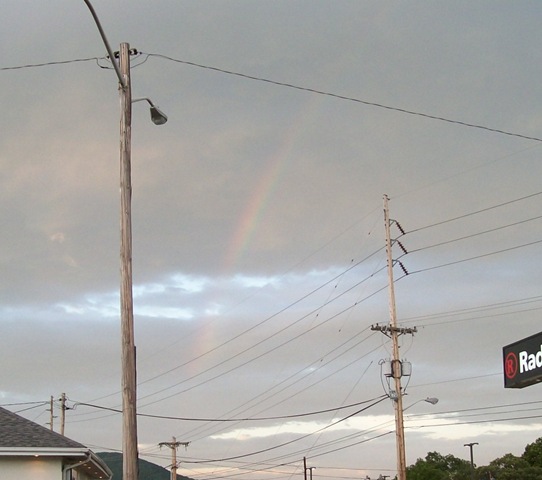 [rainbow cropped[3].jpg]