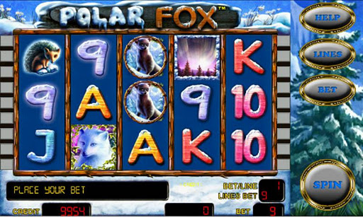 Polar Lights Slots