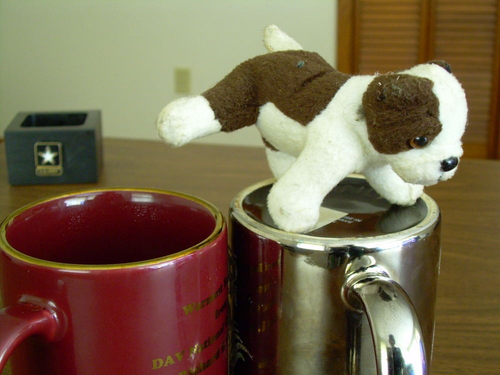 [DSCN3181_798For email[13].jpg]