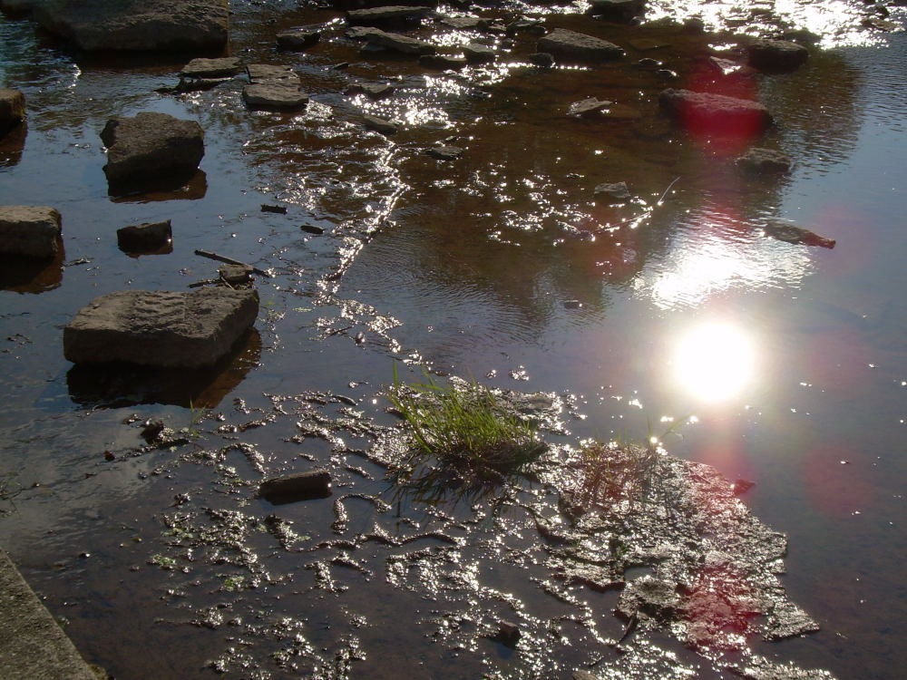 [DSCN2928_555For email[7].jpg]