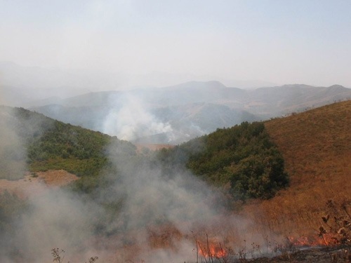 [157 hektarl1k Munzur 2004[5].jpg]