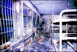 [Hayata Dönü_ katliam[6].jpg]