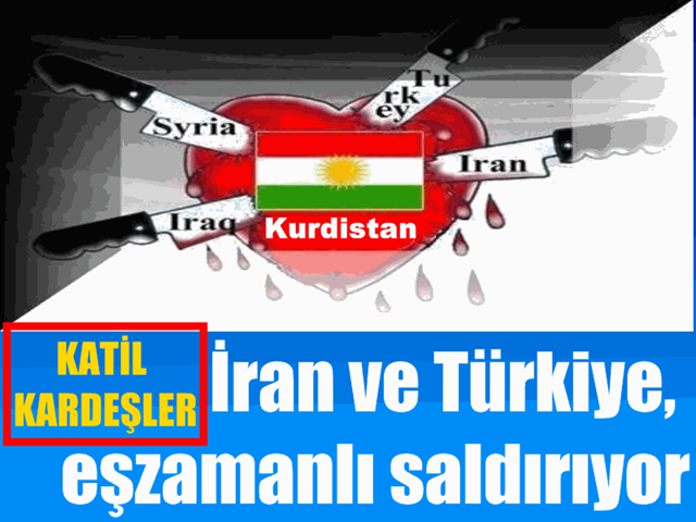 [iran turkey[4].png]