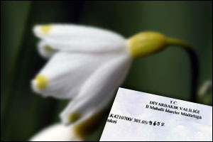 [berfin_cicekismi_yasak[2].jpg]