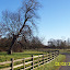 Thoresby