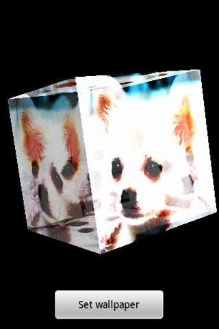 3D cute dog 68