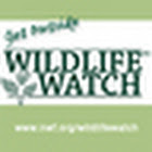 wildlife_watch