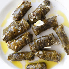 Stuffed Grape Leaves with Cucumber-Yogurt Sauce