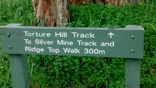 Torture Hill Track South