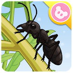 Ant - Insect World Apk