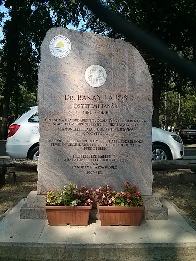 Dr. Bakay Lajos egyetemi tanár tiszteletére