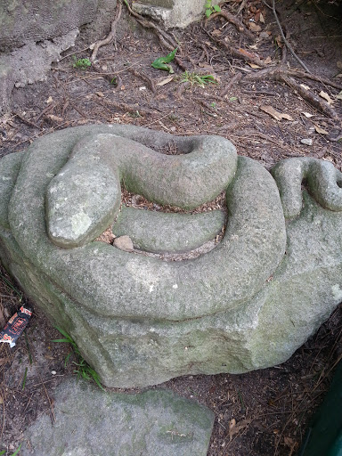 Hallstrom Park Snake
