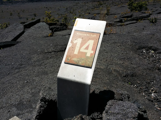 Kilauea Iki Trail Point #14