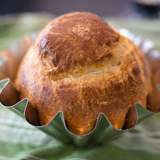 Basic Brioche