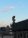 Adler Skulptur Am Dach