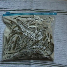 Frozen Corn or Green Beans