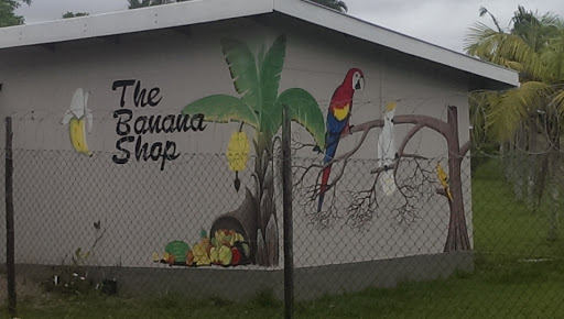 The Banana Shop Mural