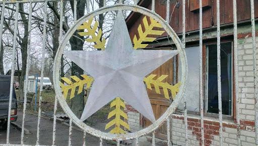 Soviet Star 