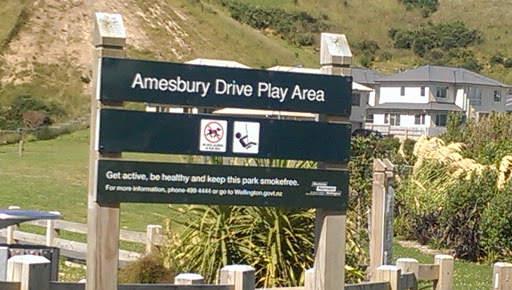 Amesbury Drive Play Area