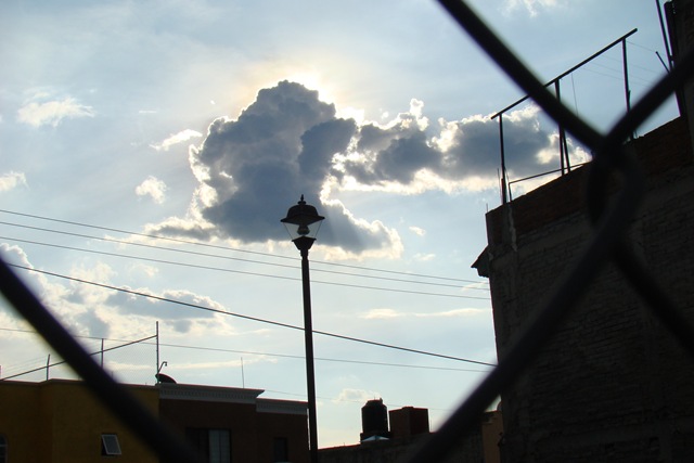 [DSC00301[11].jpg]